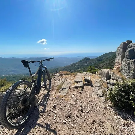 Ruscana * Pinarellu (Corsica)